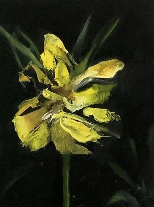 Yellow Flower