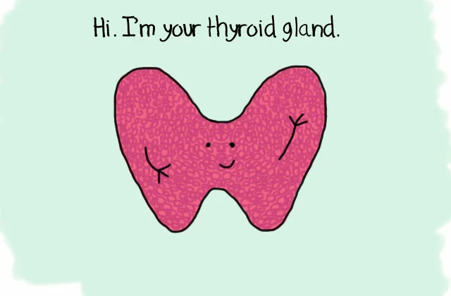 happy-thyroid.jpg