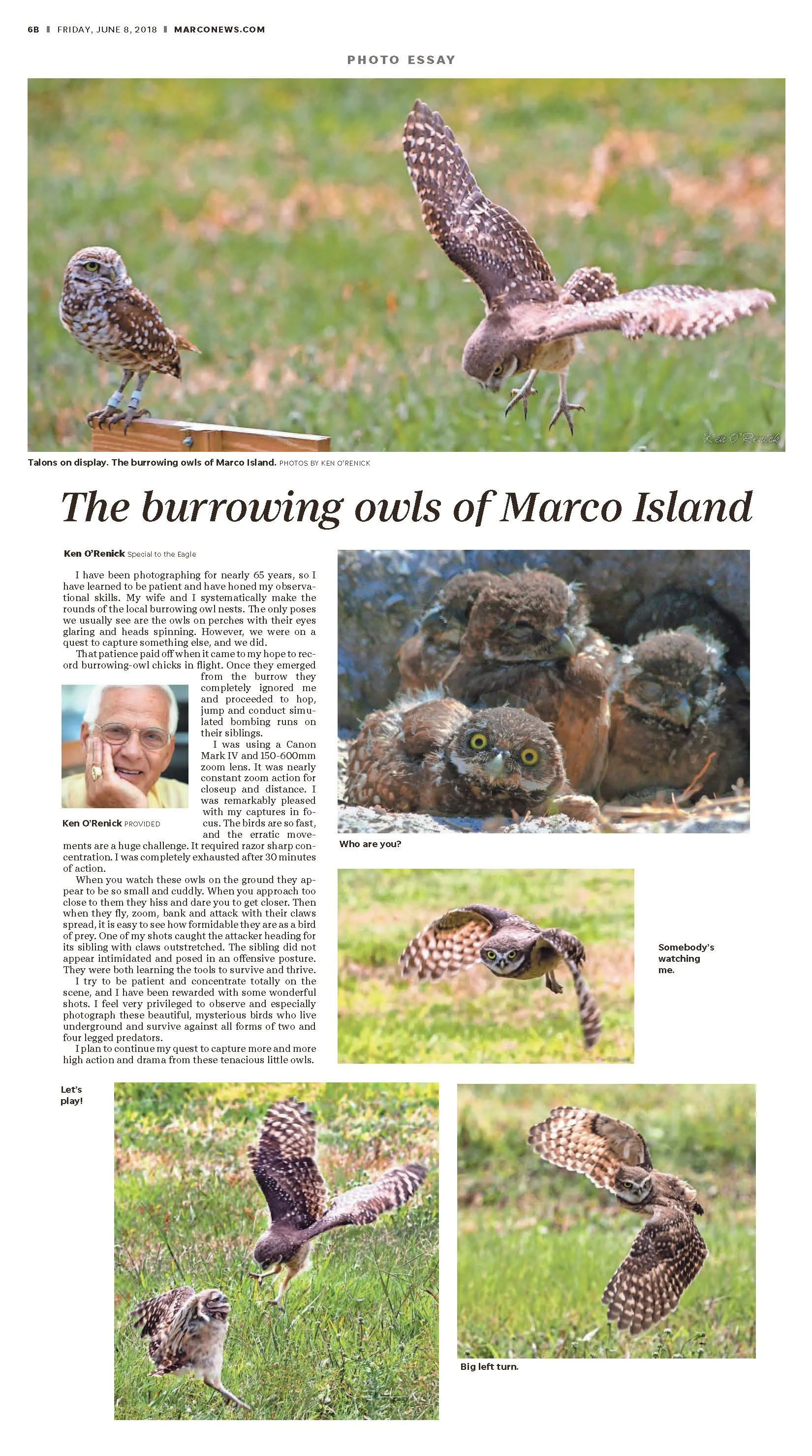BILL GREEN PROOF SHEET MarcoEagle_OWLS 20180608_B01_B06_Page_2.jpg
