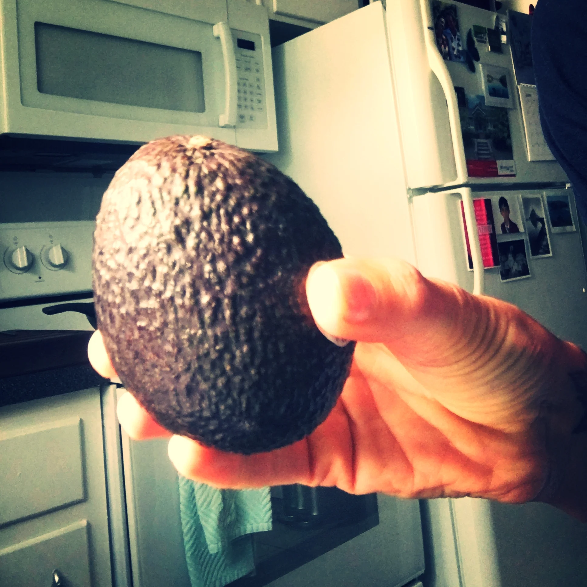 Avocado is a fruit. Did you know that?