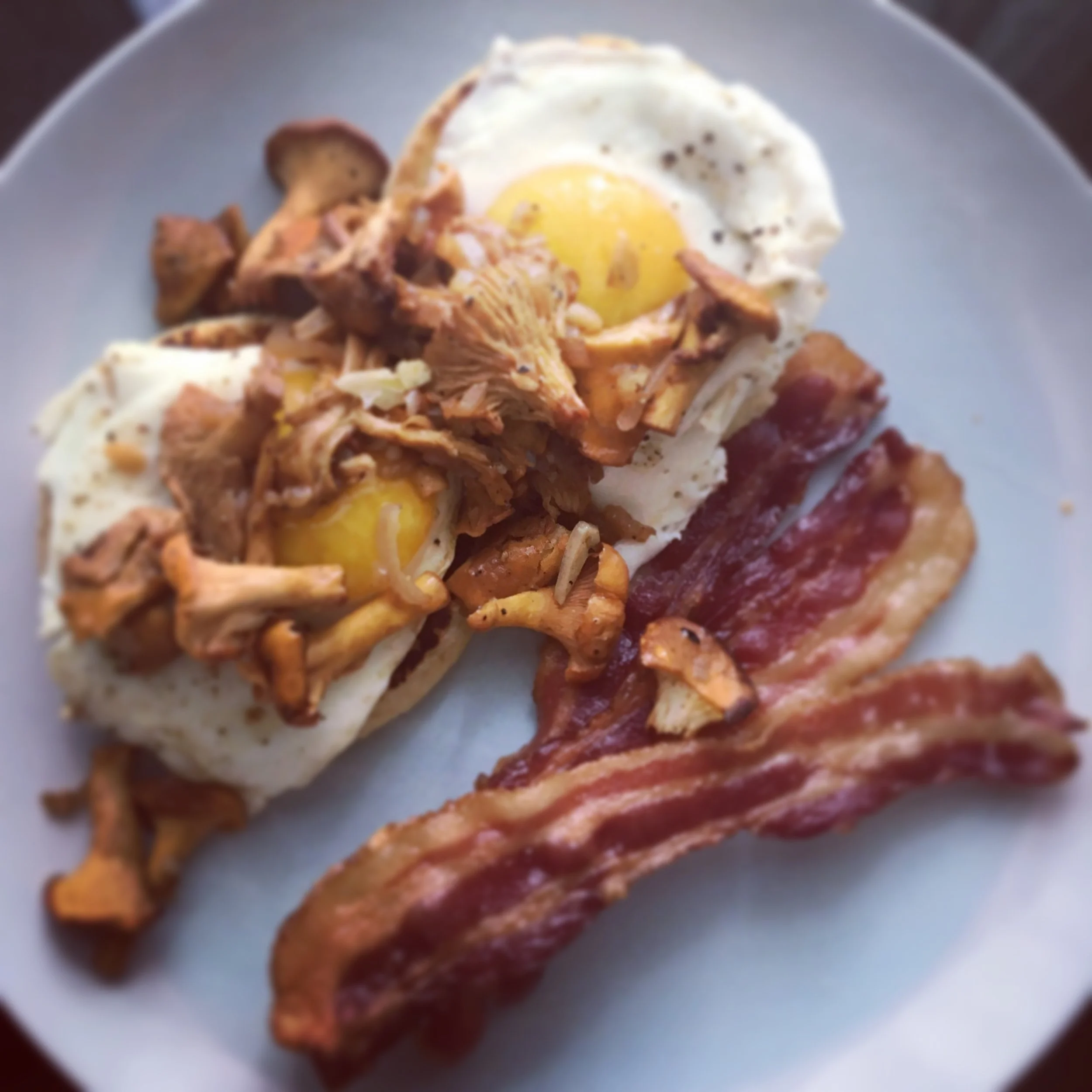 Chanterelles with eggs and bacon for breakfast.