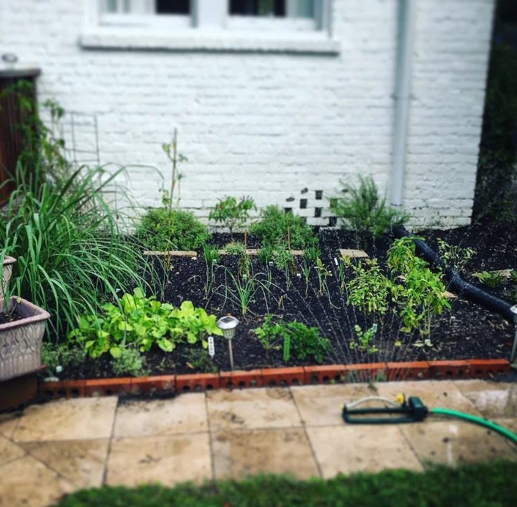 It's only about 6 x 10, and not actually how I really want it set up, but it's a start.