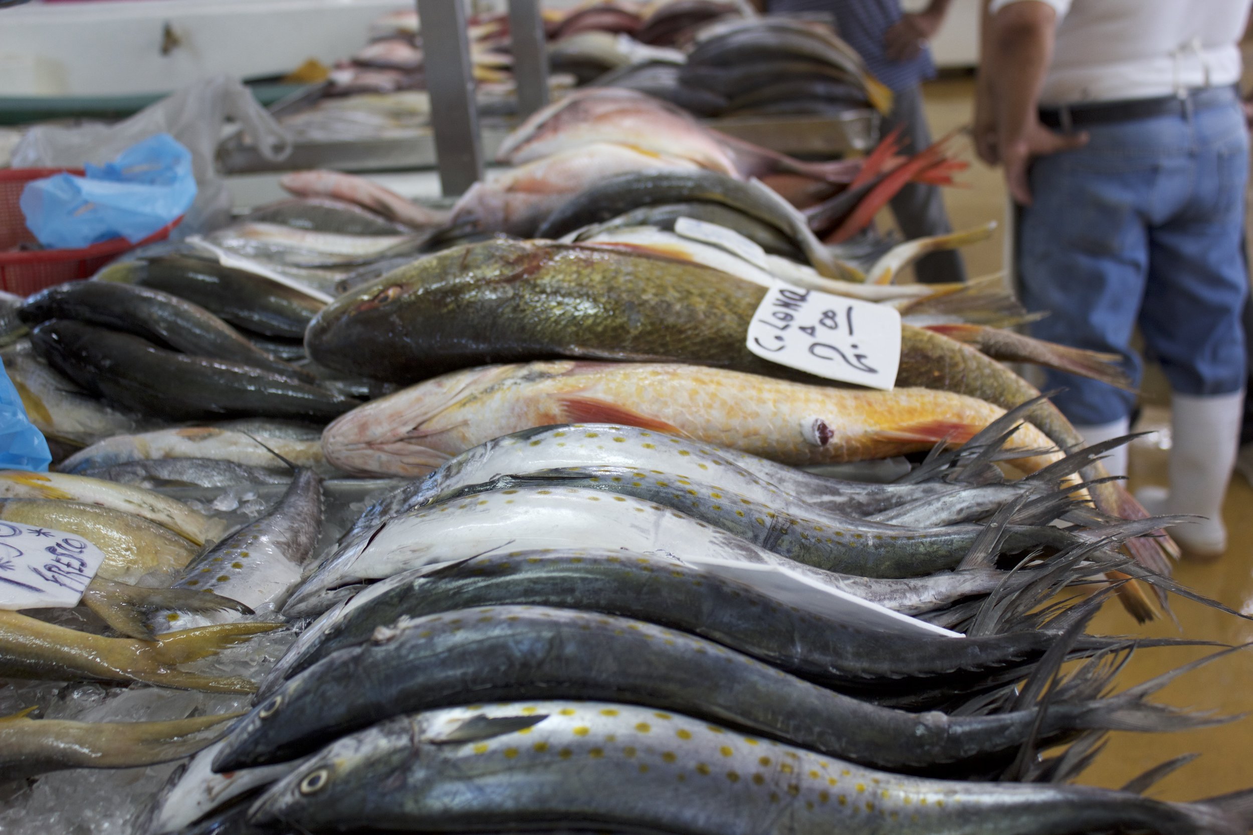Fish at the market.jpg