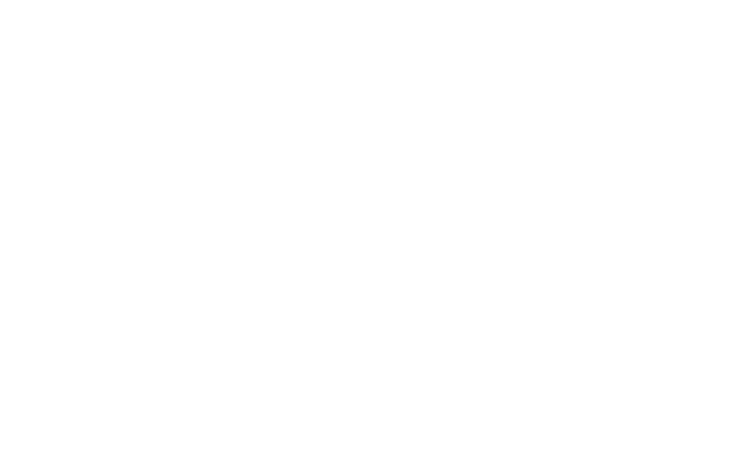 seal.gif