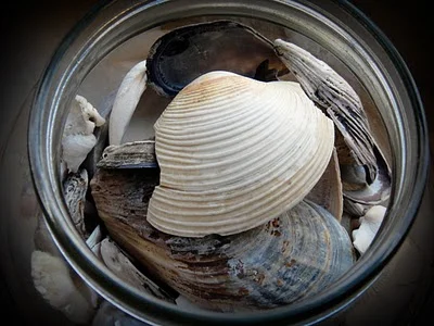 Picture Summer Days 1 - 10