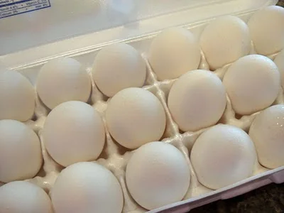 Week In the Life - Day 1