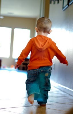 Christmas, Weekend Round Up and a Turkey