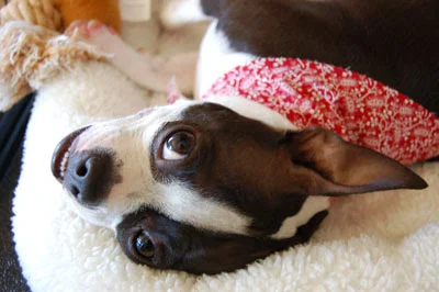 Happy Thoughts for Our Marti