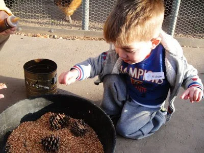 December Daily 12/2-12/7