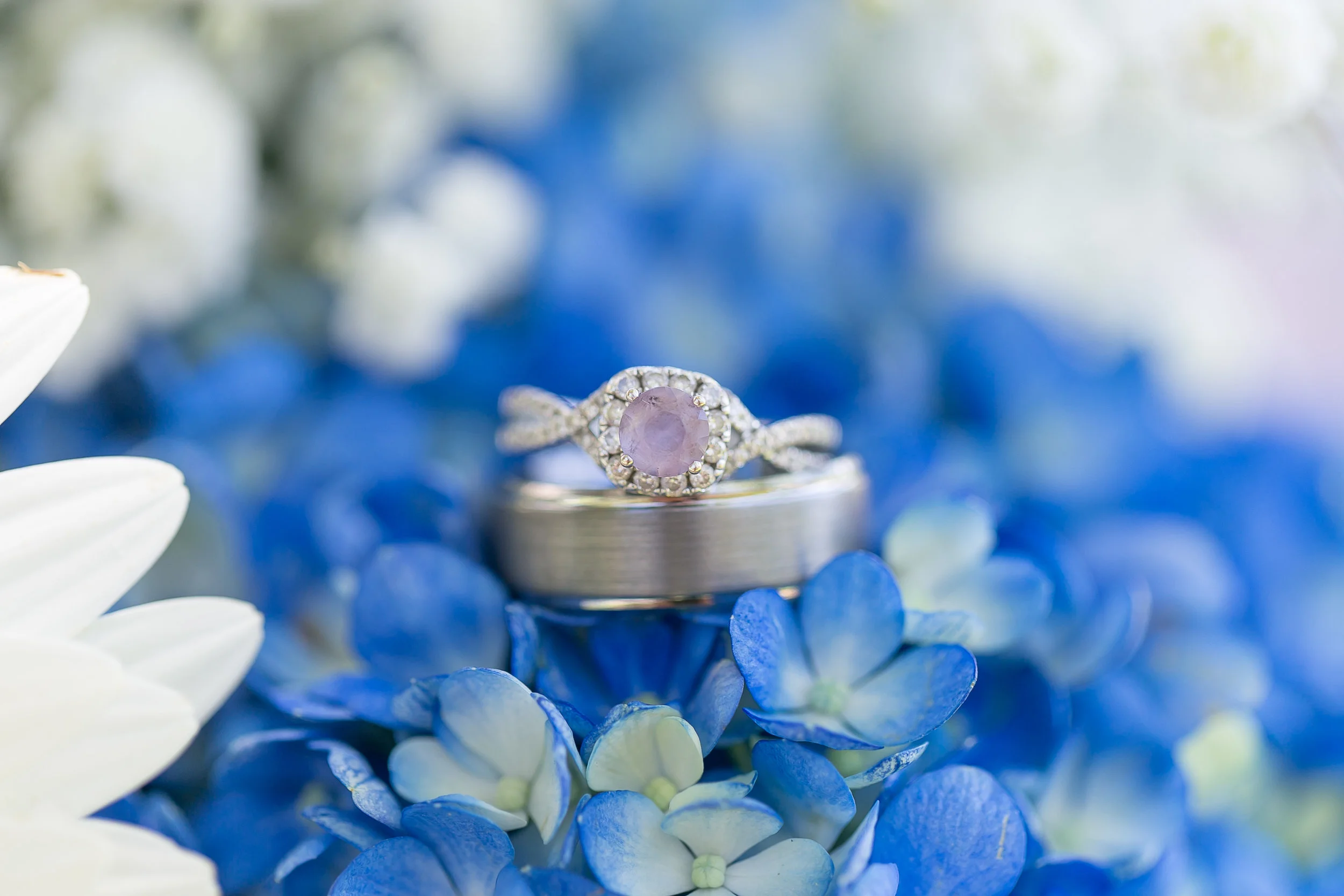 WashburnWedding-2.jpg