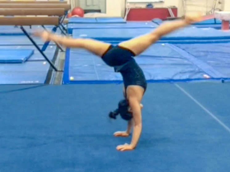 Bridge Kickover Gymnastics Level 34 — GrowFit Physical Education Curriculum