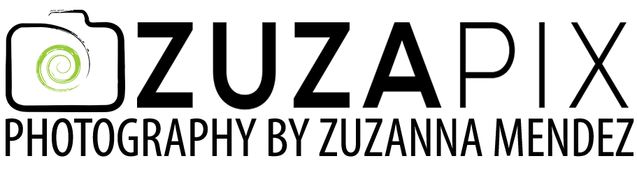 Zuzapix, Photography By Zuzanna Mendez | Crystal Lake Documentary Family Photographer