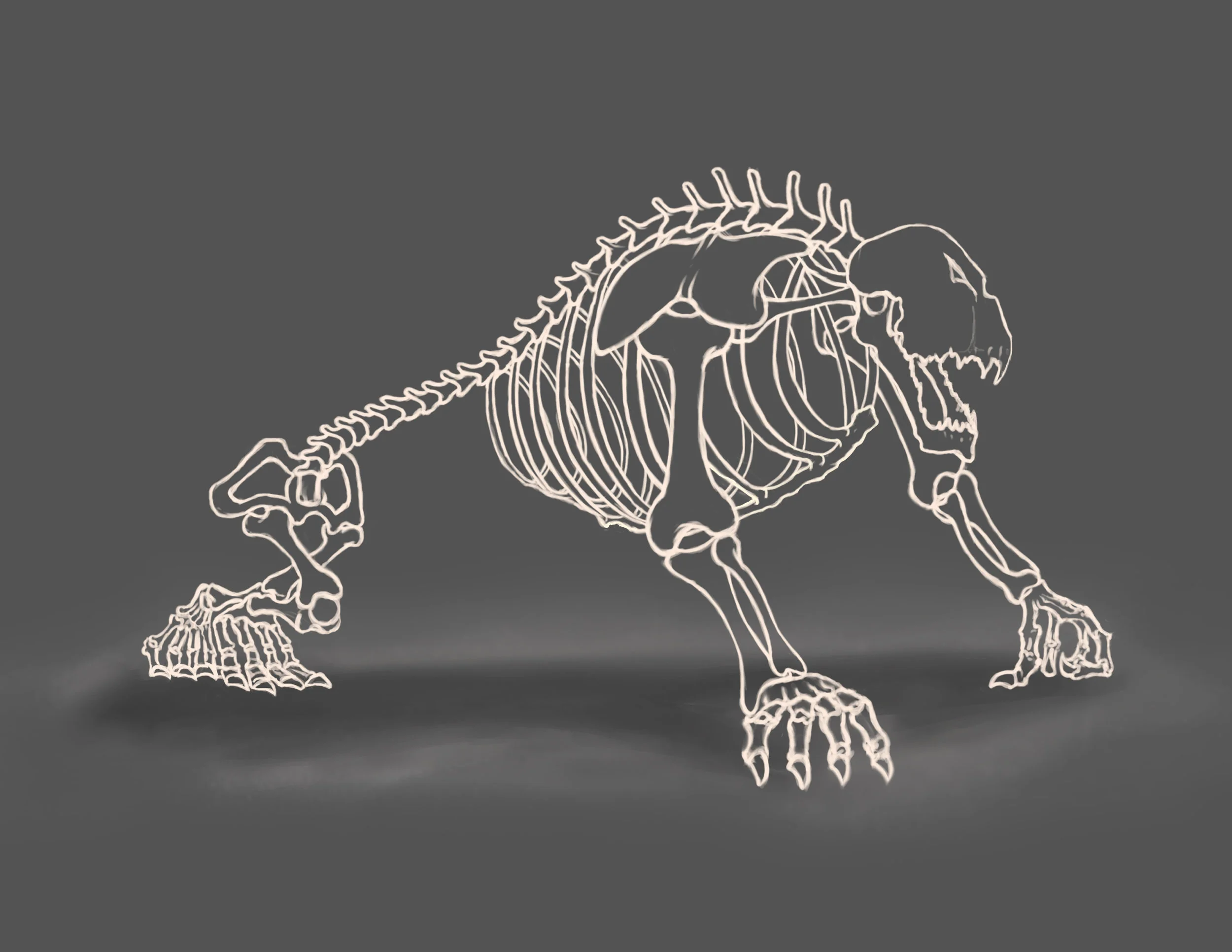 Jungle hybrid creature - skeleton