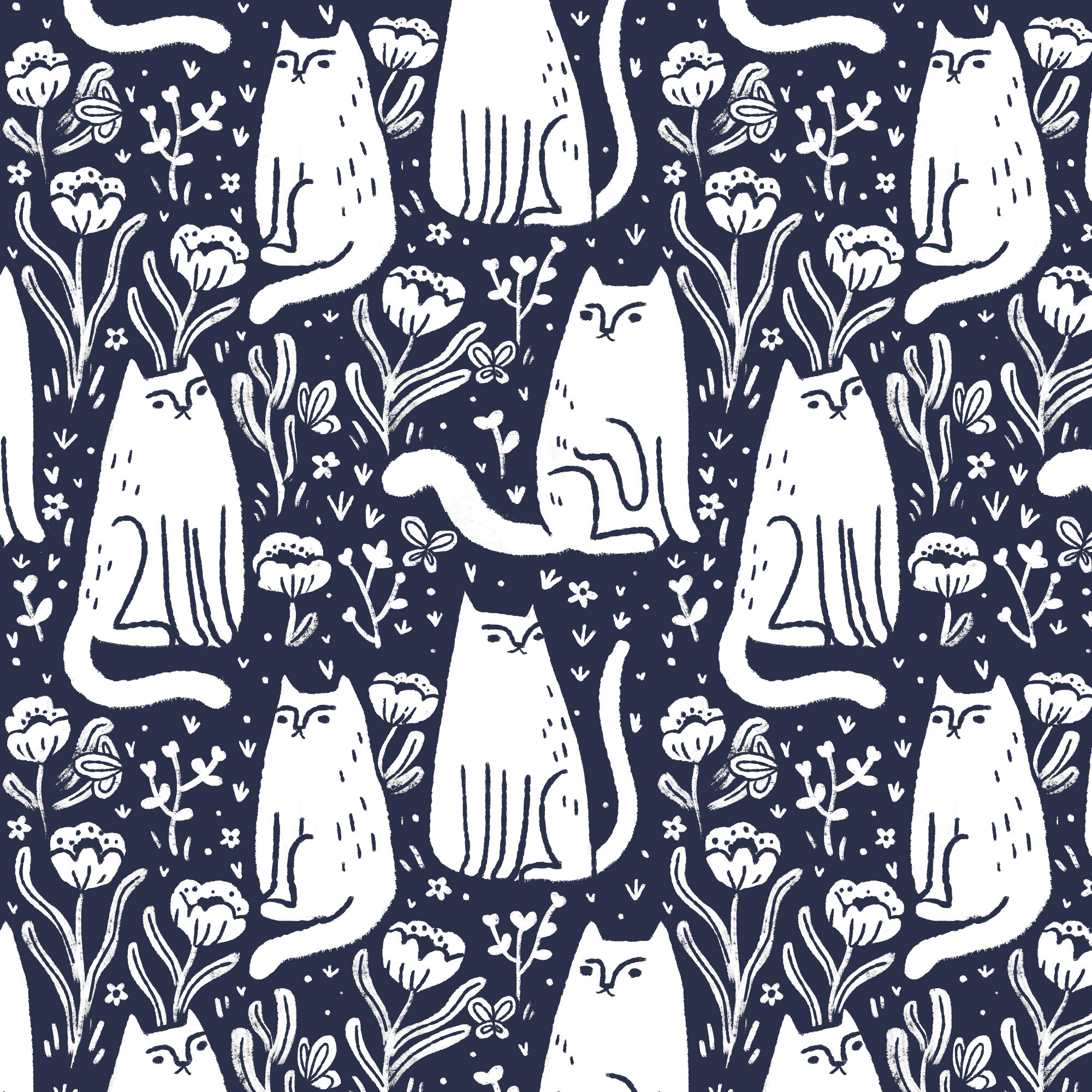 Cats