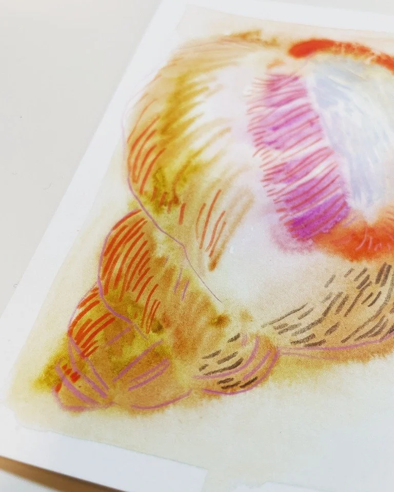 fun to wonder 🐚 #watercolor + #coloredpencil