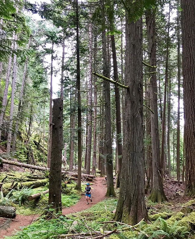 V good quick 24 hour excursion to the mountains exploring a new area.  Old growth trail run, waterfall, campsite with a view, quick leg burning hike and even a fire lookout.