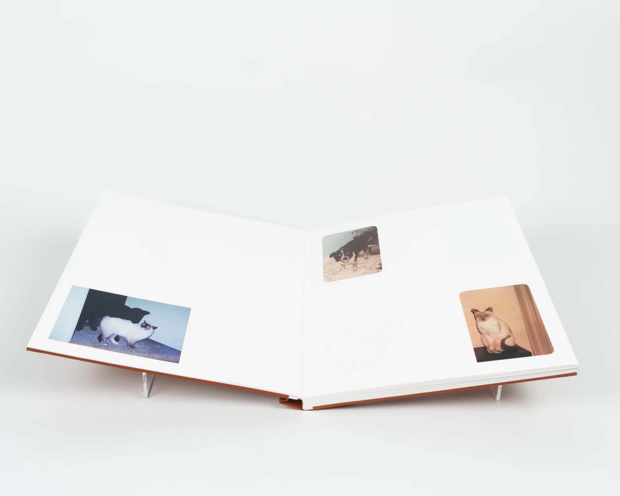 _2019_04_23_ocac_books00095.jpg