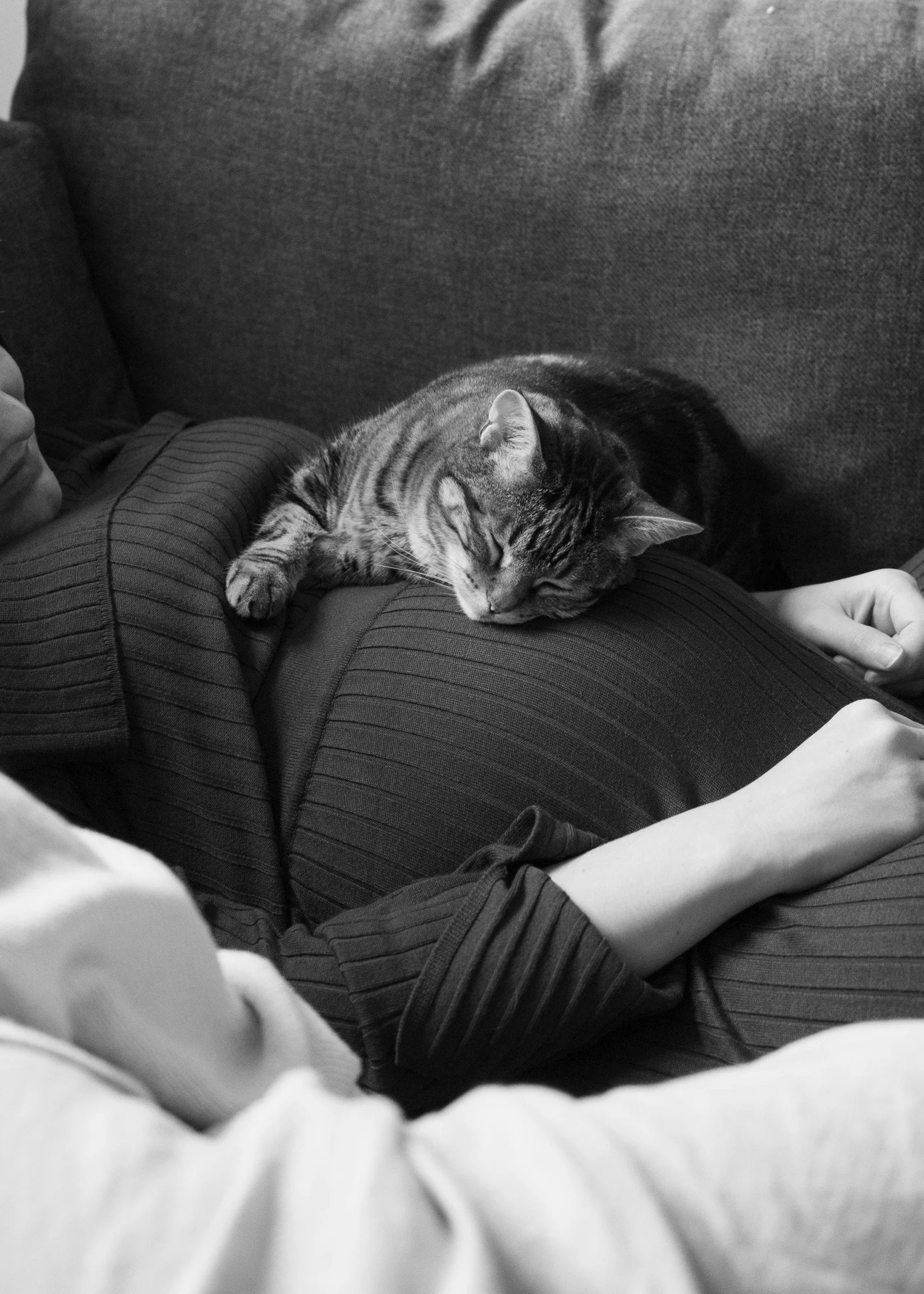 _DSC1057 copy copy copy.jpg