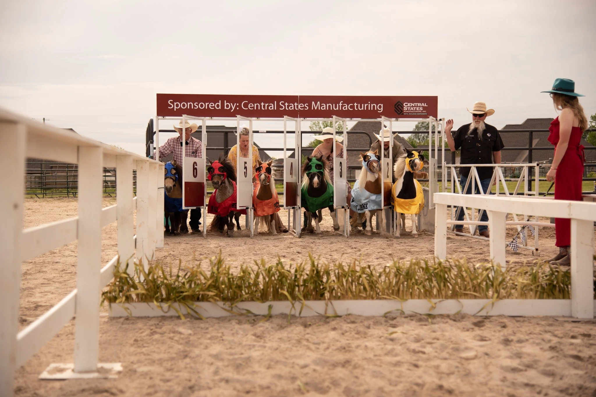 mini derby gate.jpeg