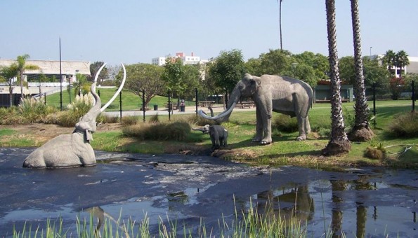 La Brea Tar Pits in Los Angeles, CA