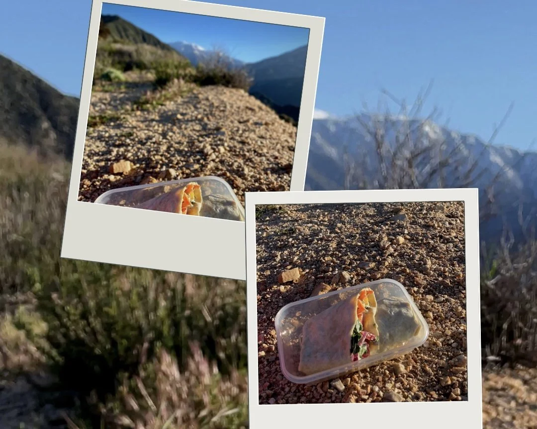 Raw Rainbow Veggie Hummus Wraps