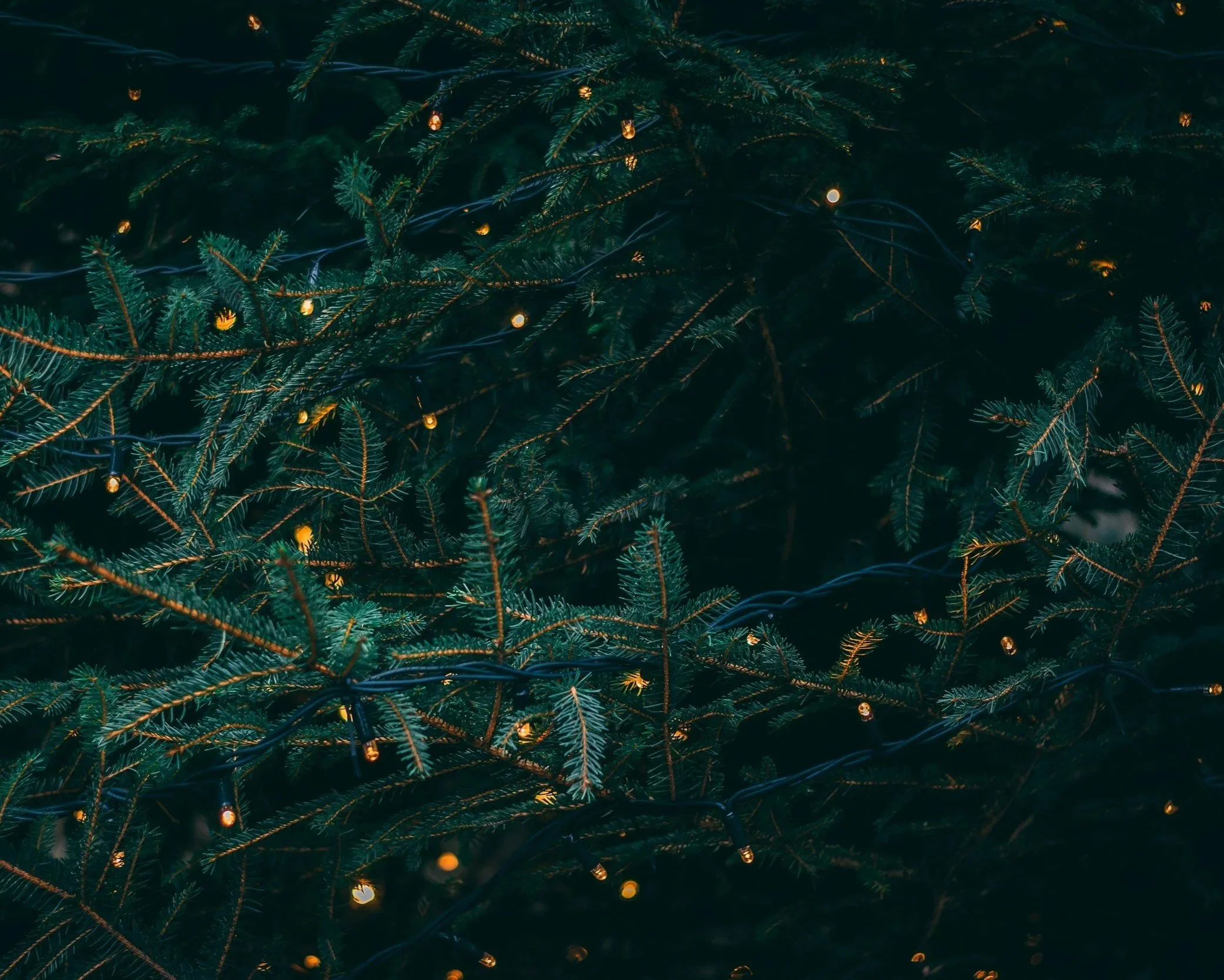 Celebrating Holidays Without Loved Ones