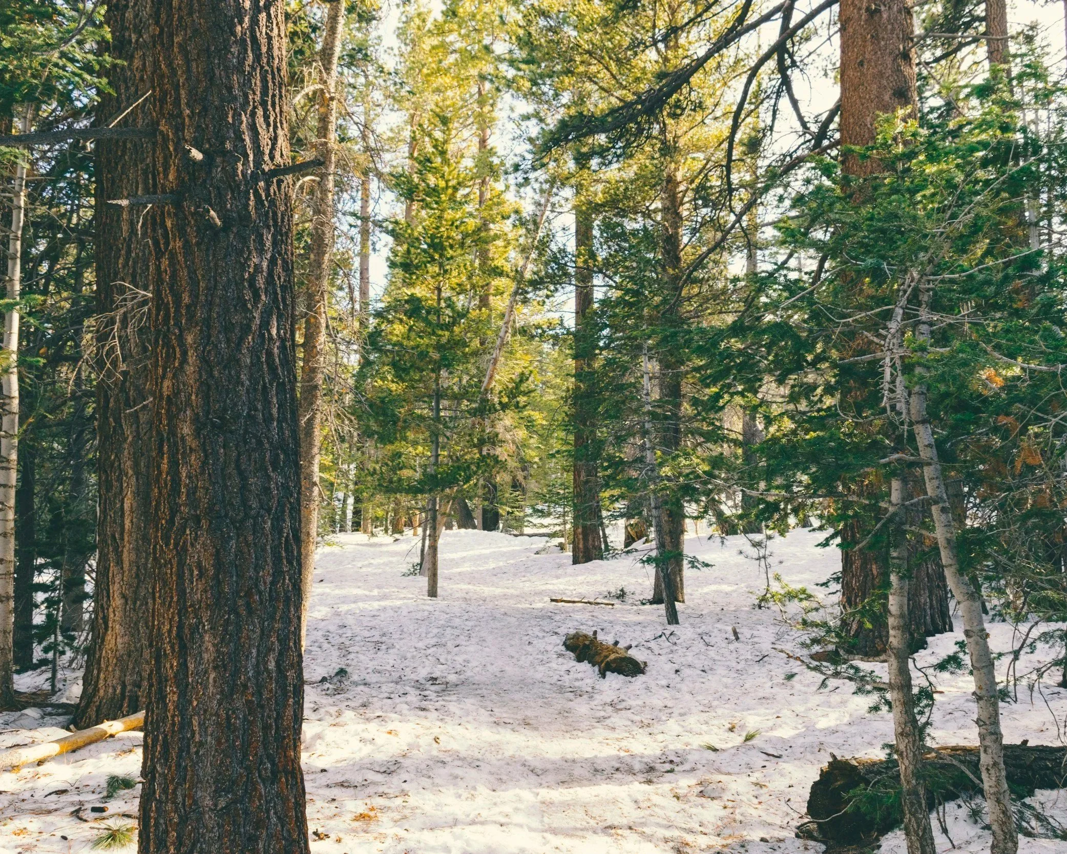 The History Behind The Hike