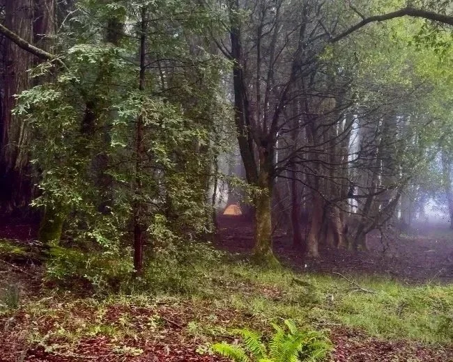 What I Learned Over 17 Days of Camping With 10 Students