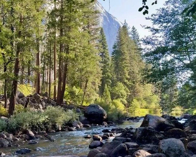 The Fight to Keep Our Public Lands 