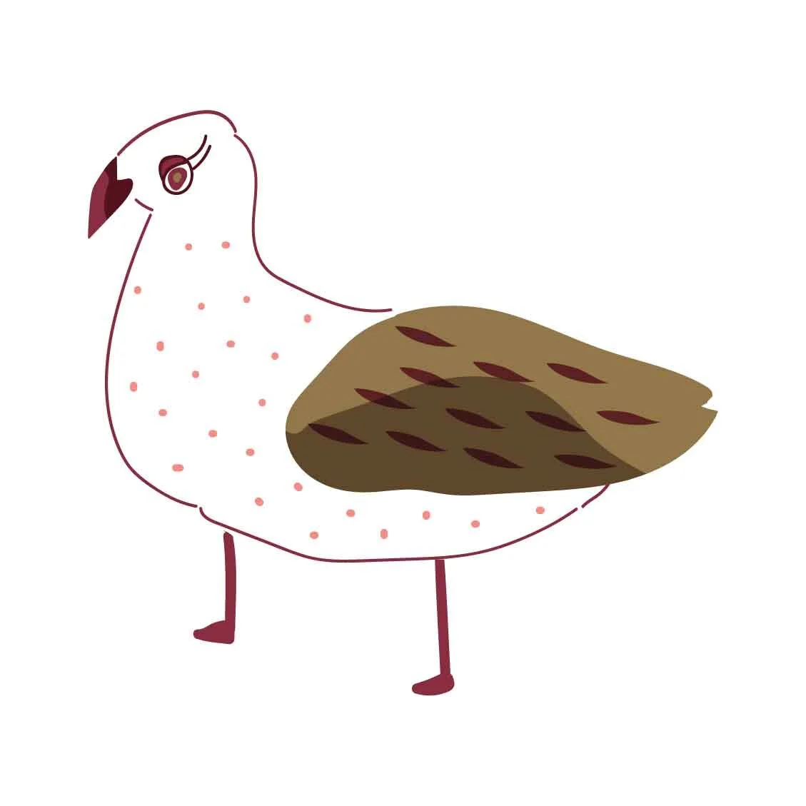 weird bird-01-01.jpg
