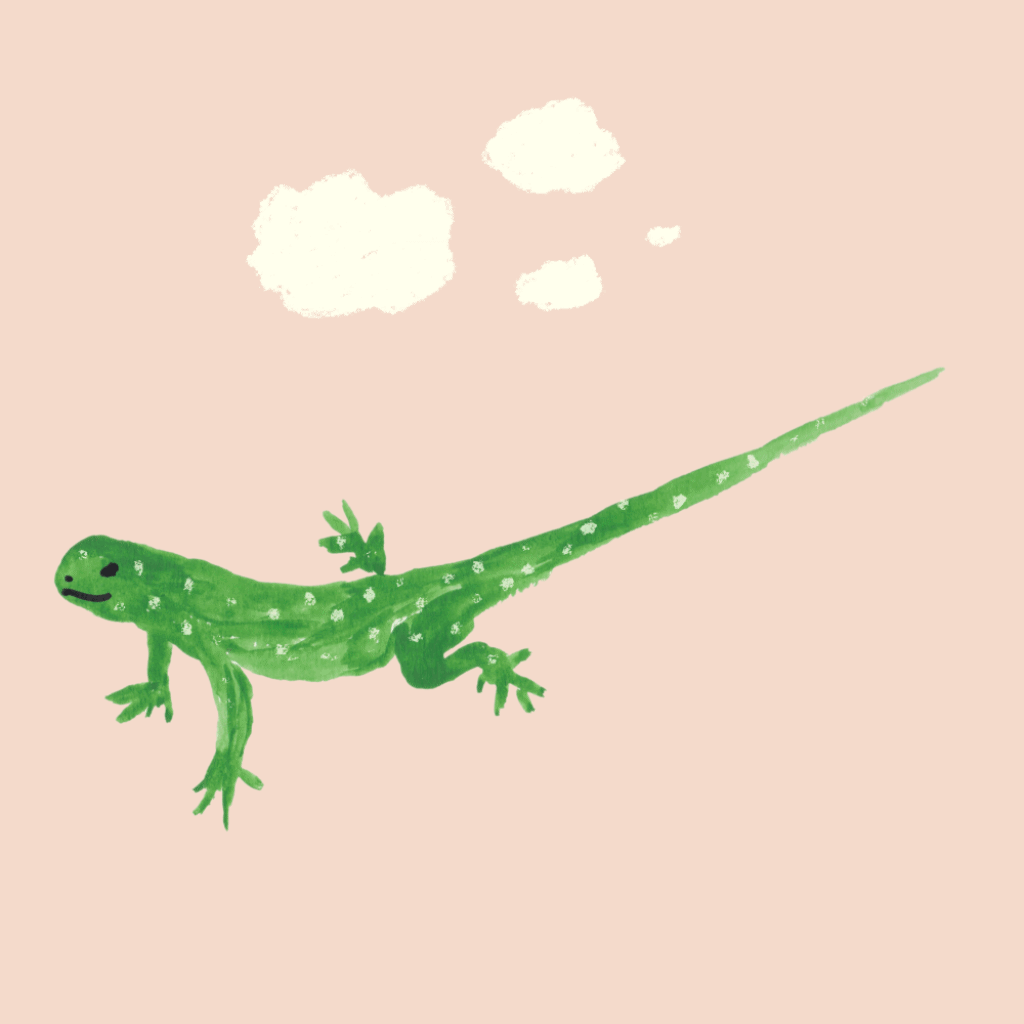 inez jestine pushup lizard animal illustration animation.gif
