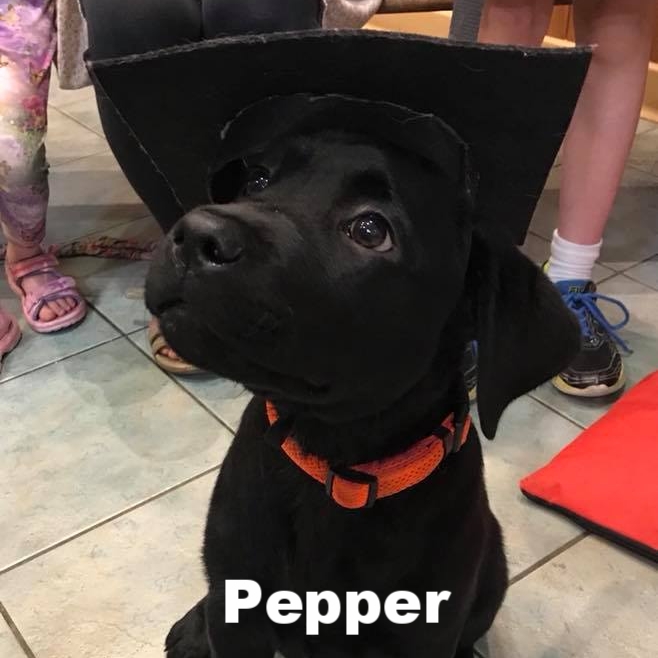 PPS - Pepper.jpg