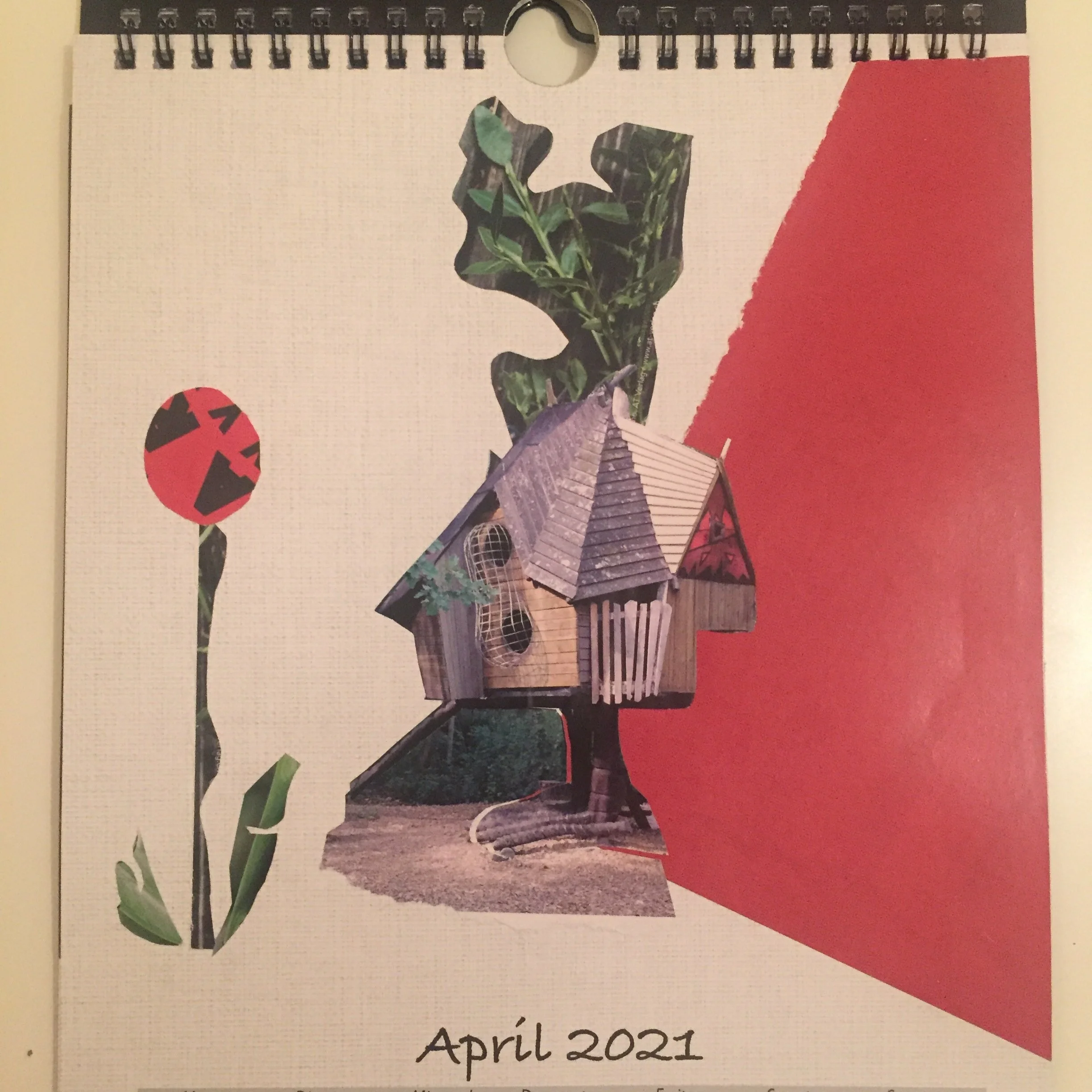 IMG_7883.JPG