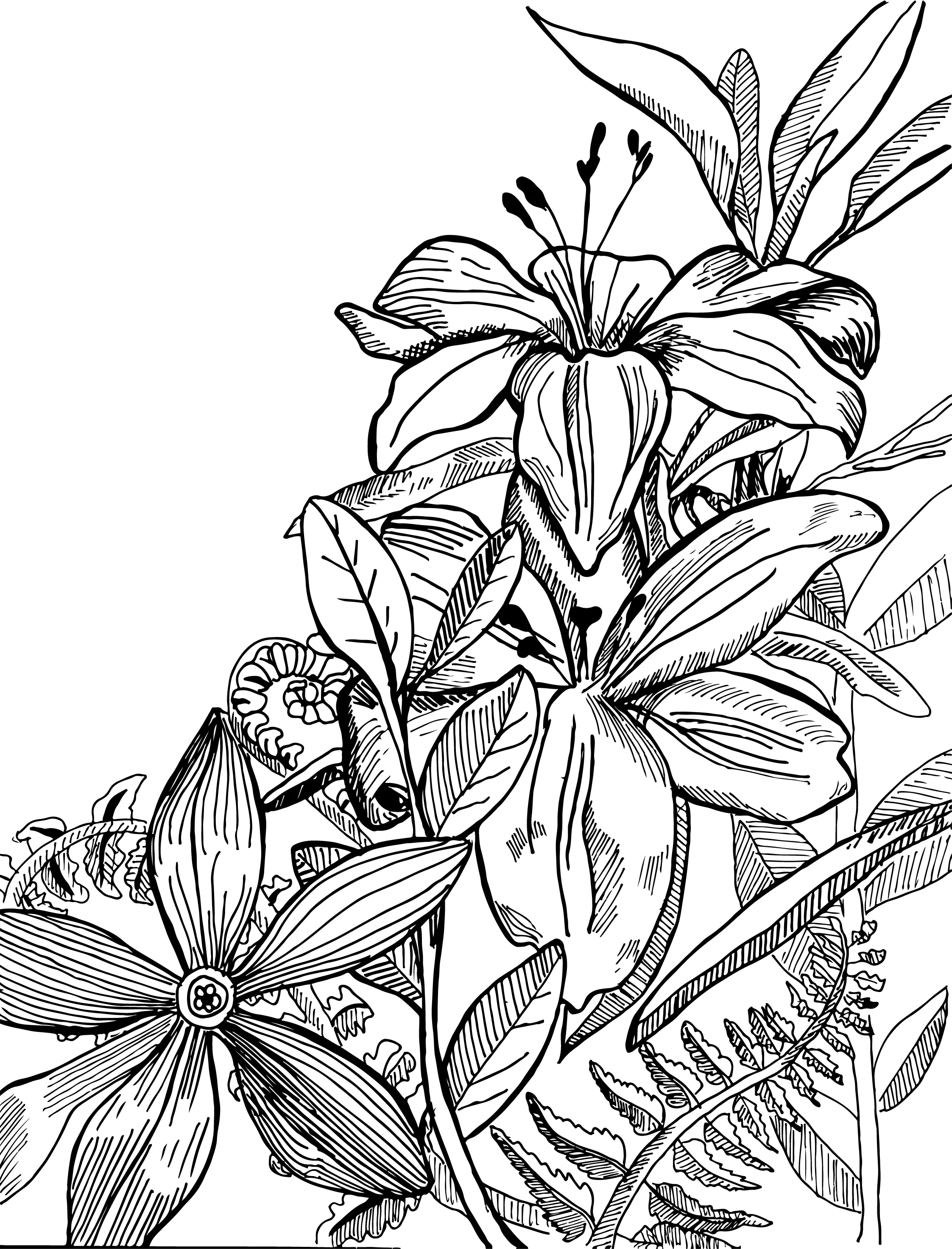 flowers.jpg