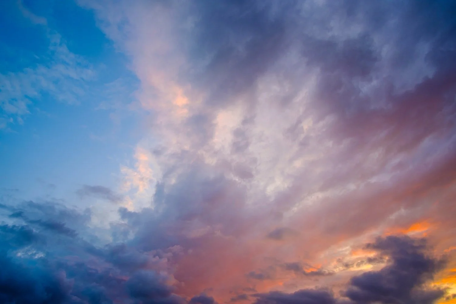 The Neuroscience of Visioning