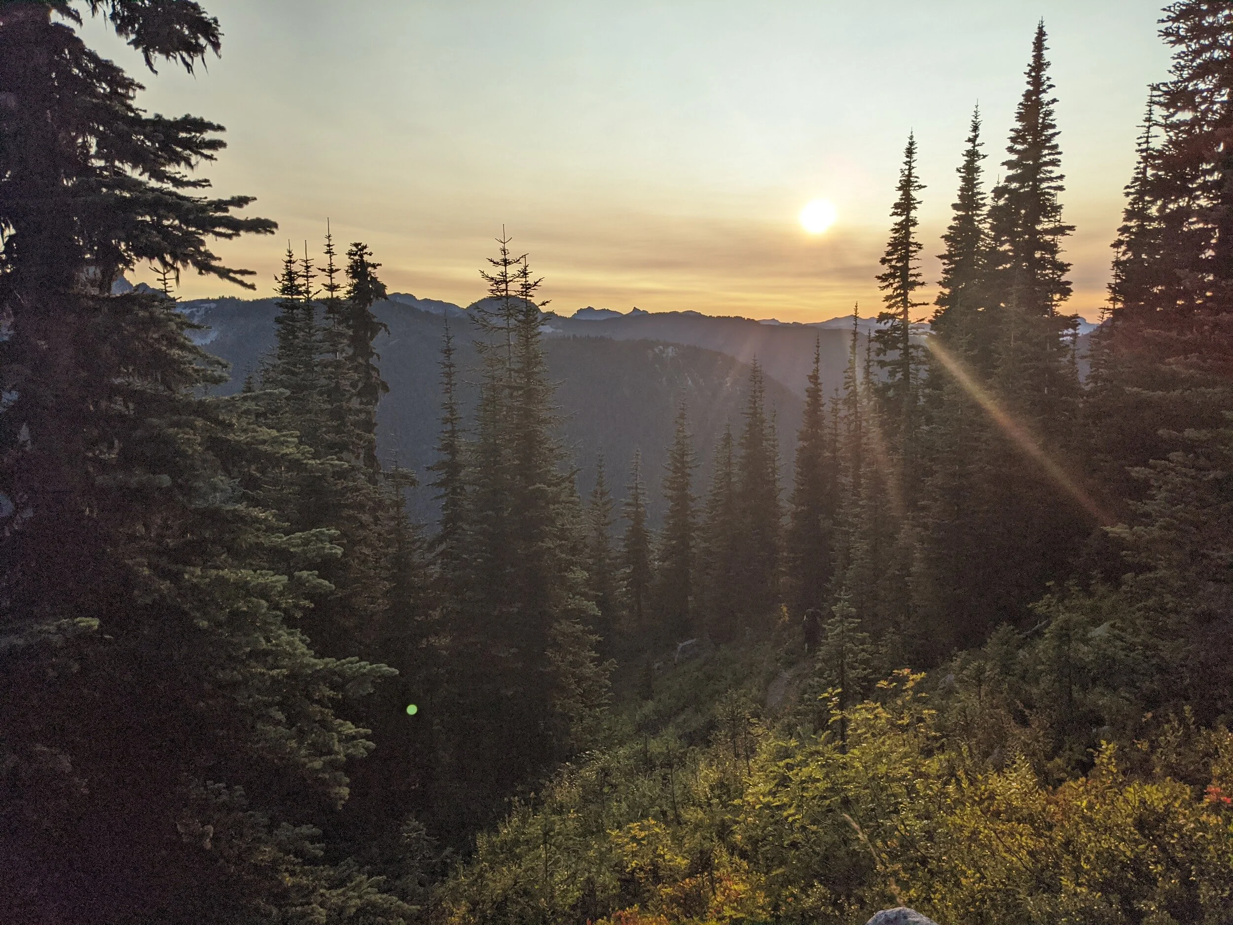 Defining Your Meaning for Movement