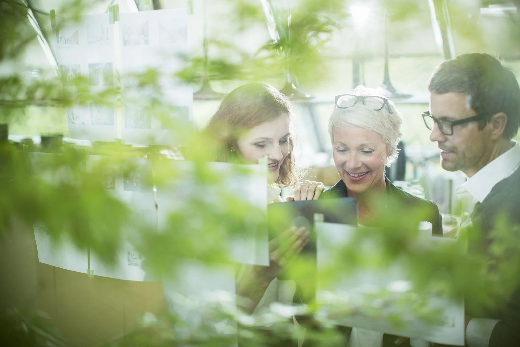 iStock-555799387.jpg