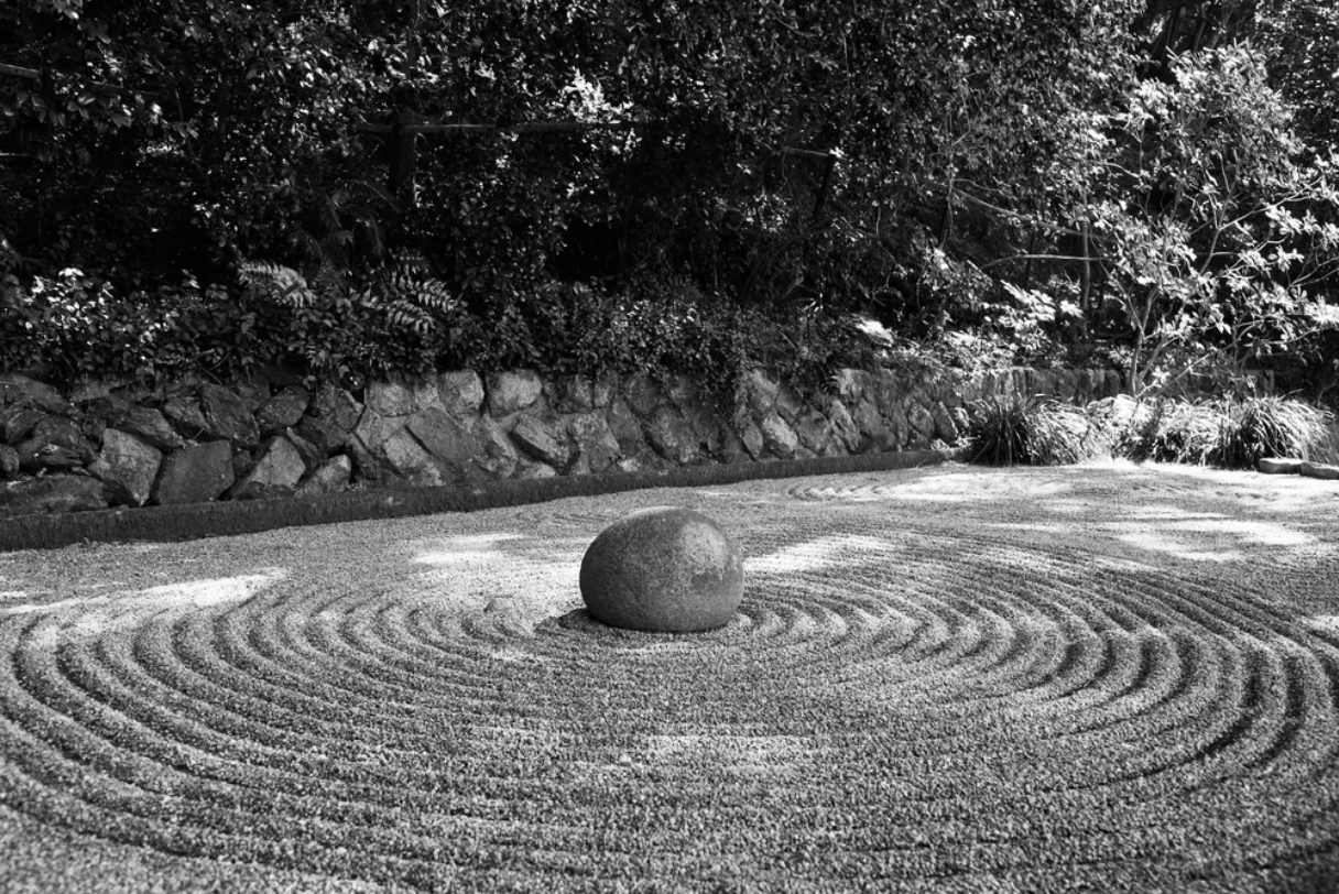 The Quiet Courage to Follow Truth in Challenging Times