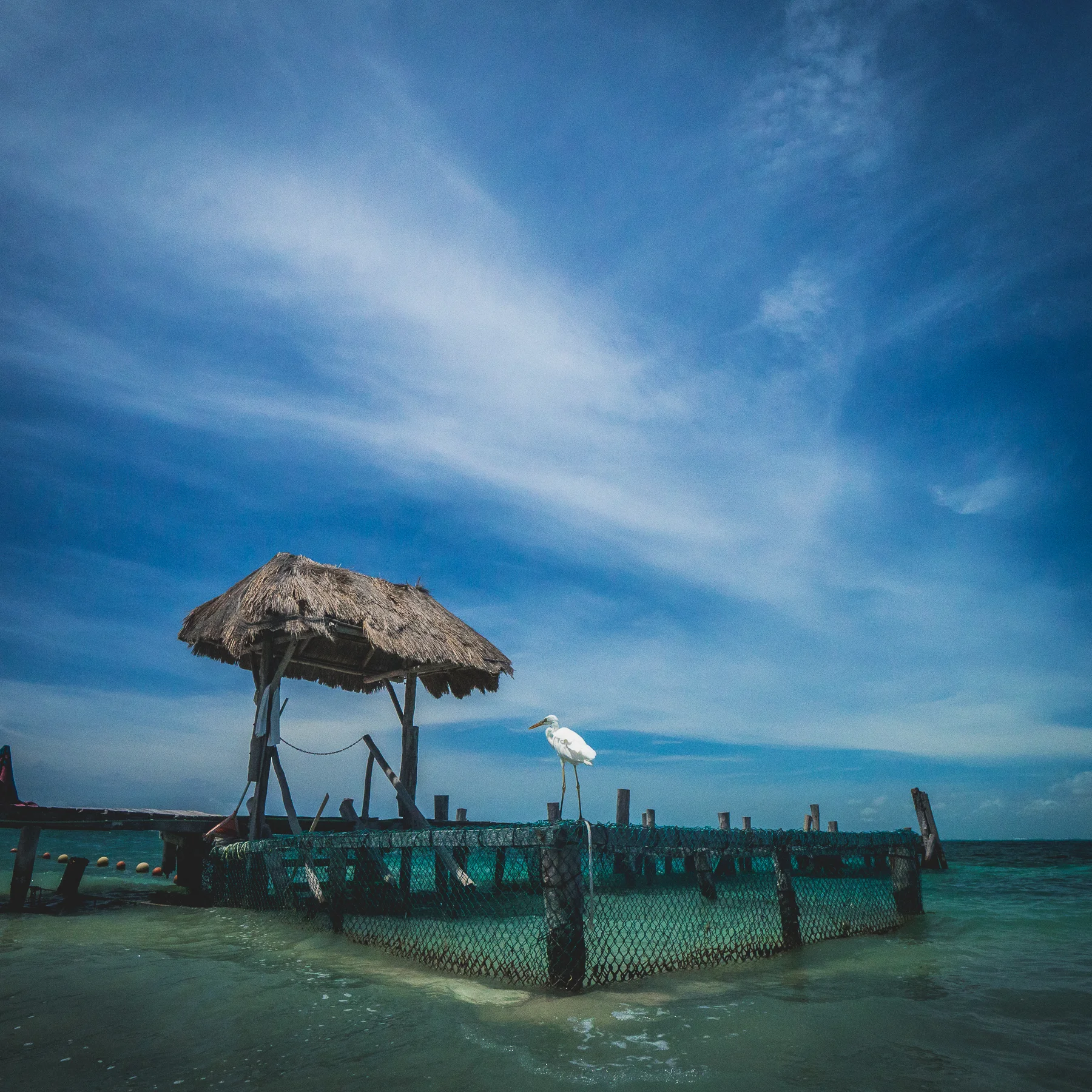 Isla Mujeres XTRAS-18.jpg
