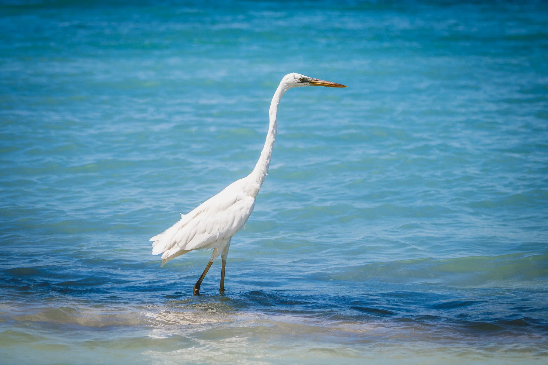 Isla Mujeres XTRAS-41.jpg