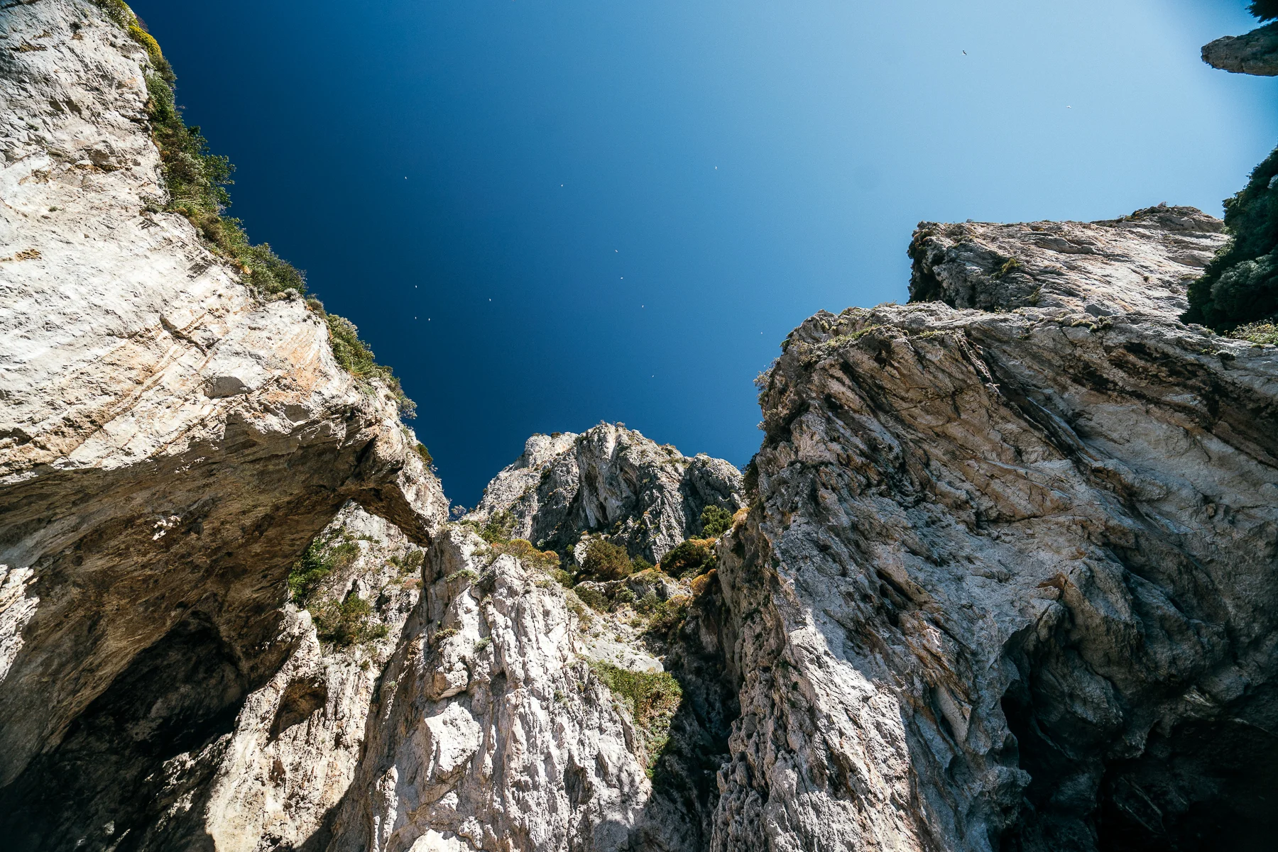 CAPRI-103.jpg