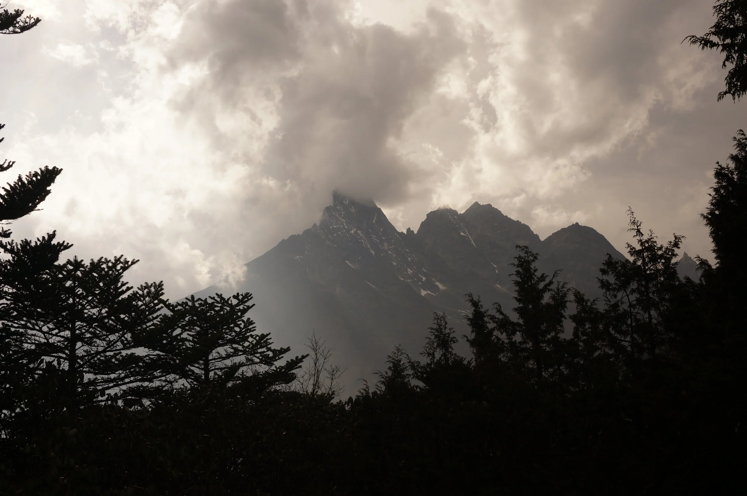 DSC02874.jpg