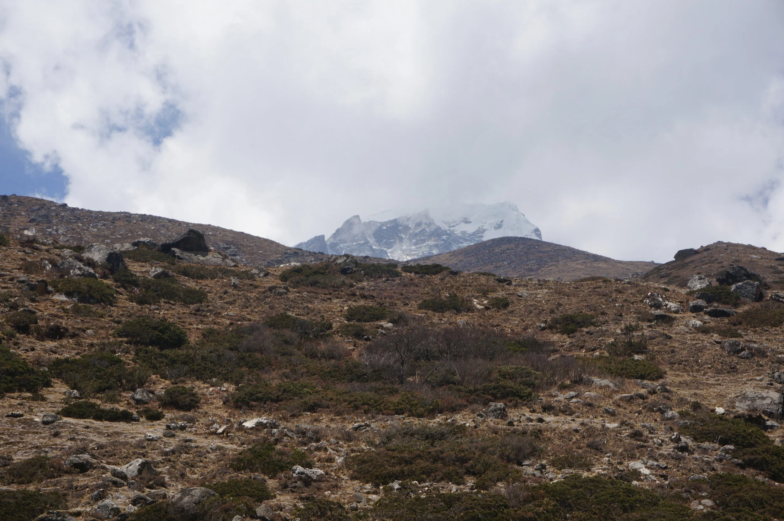 DSC02943.jpg
