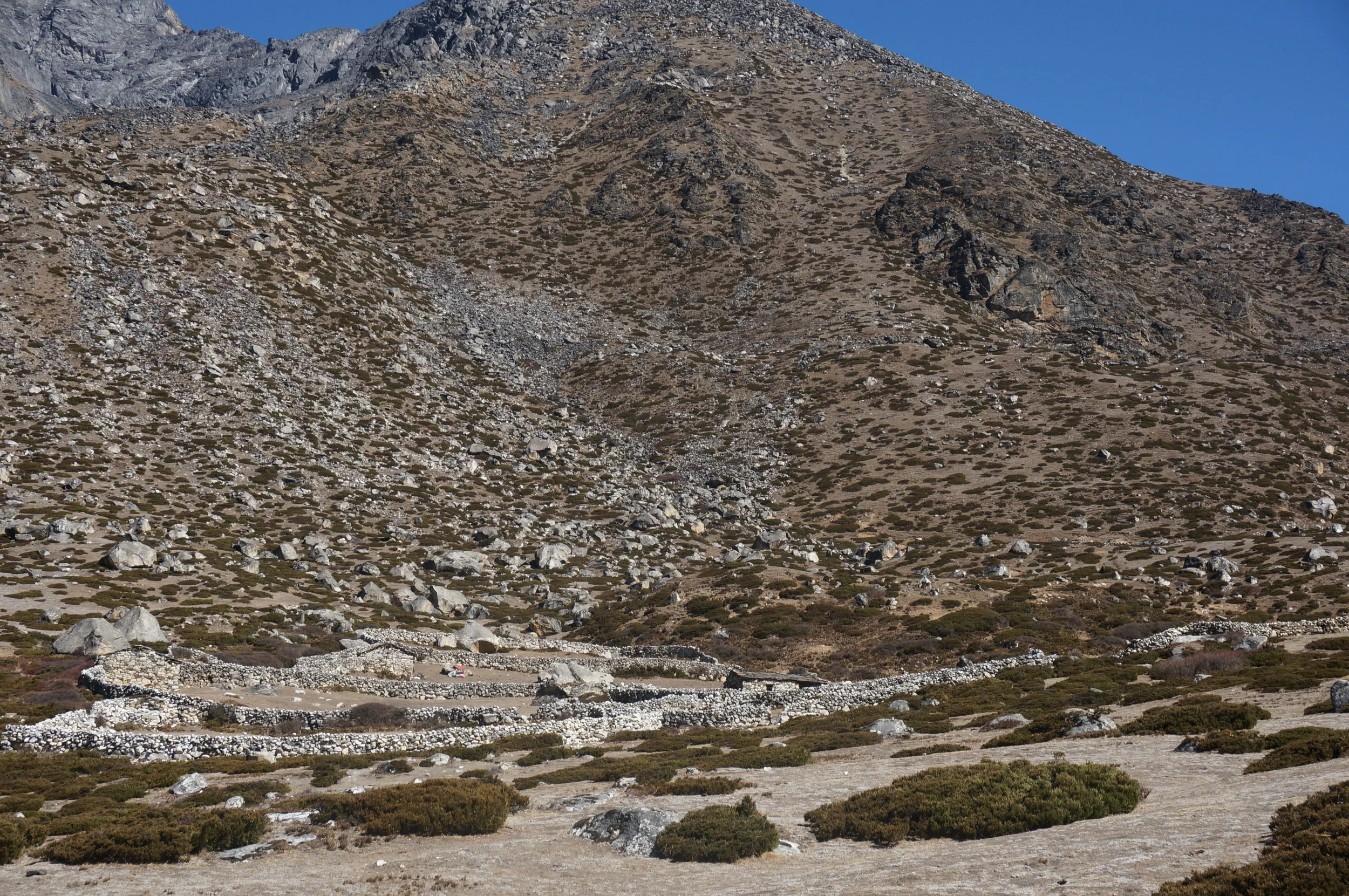 DSC02965.jpg