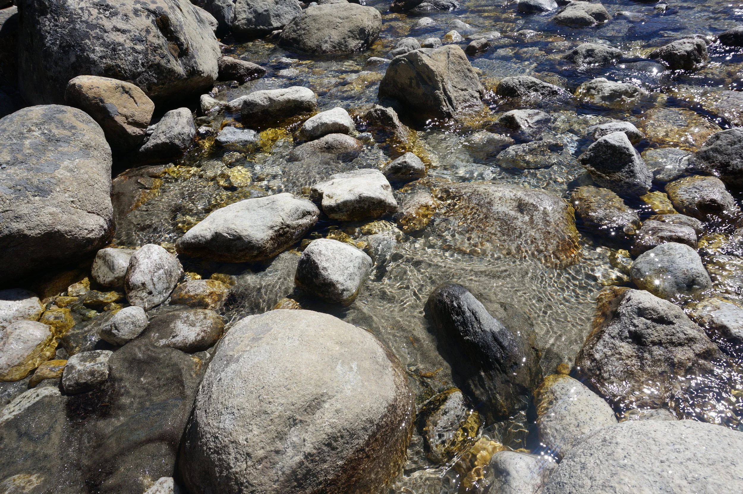 DSC02968.jpg