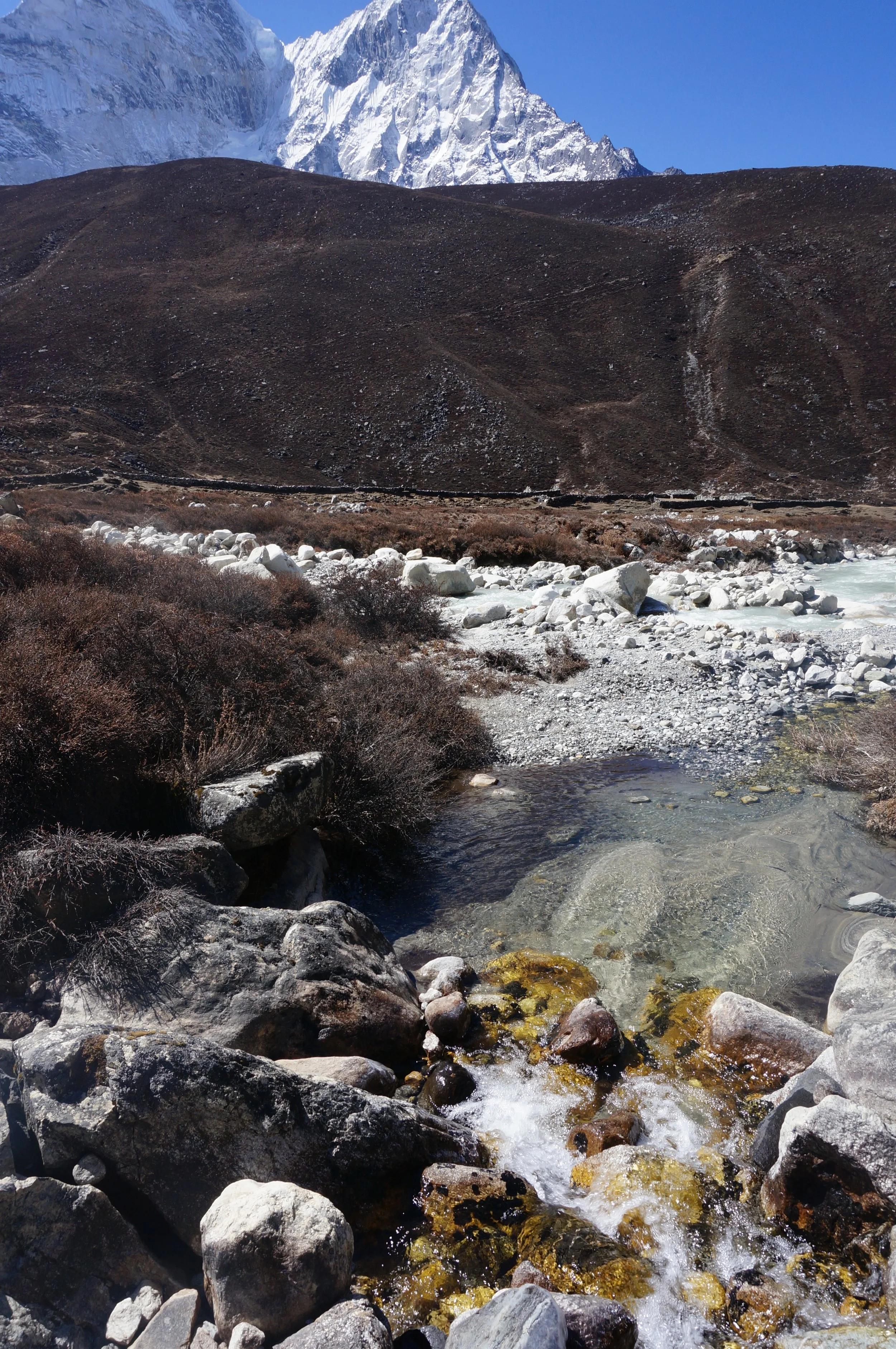 DSC02969.jpg
