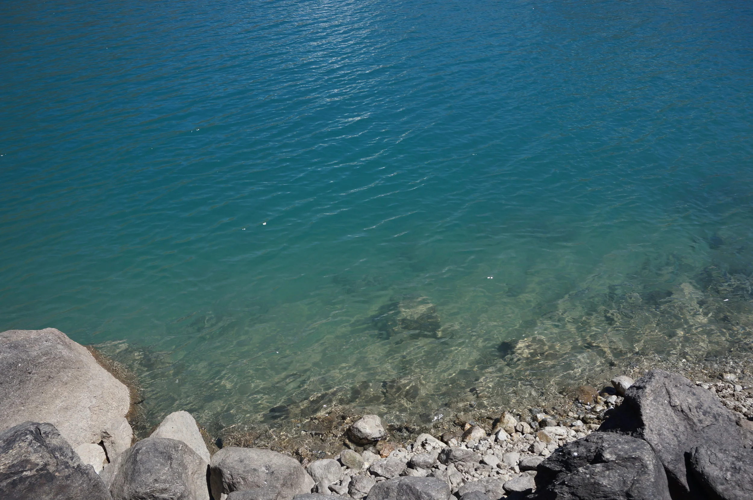 DSC03089.jpg