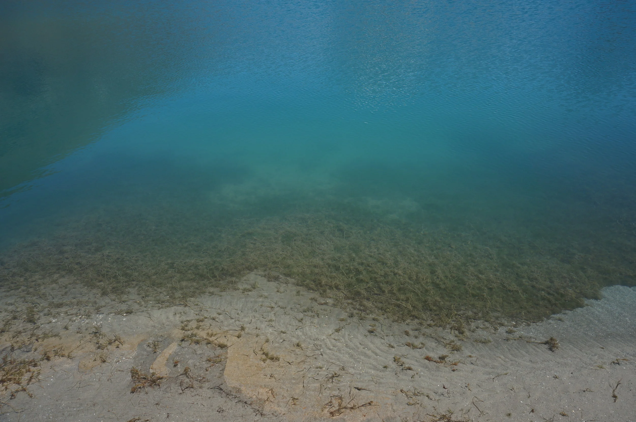 DSC03119.jpg