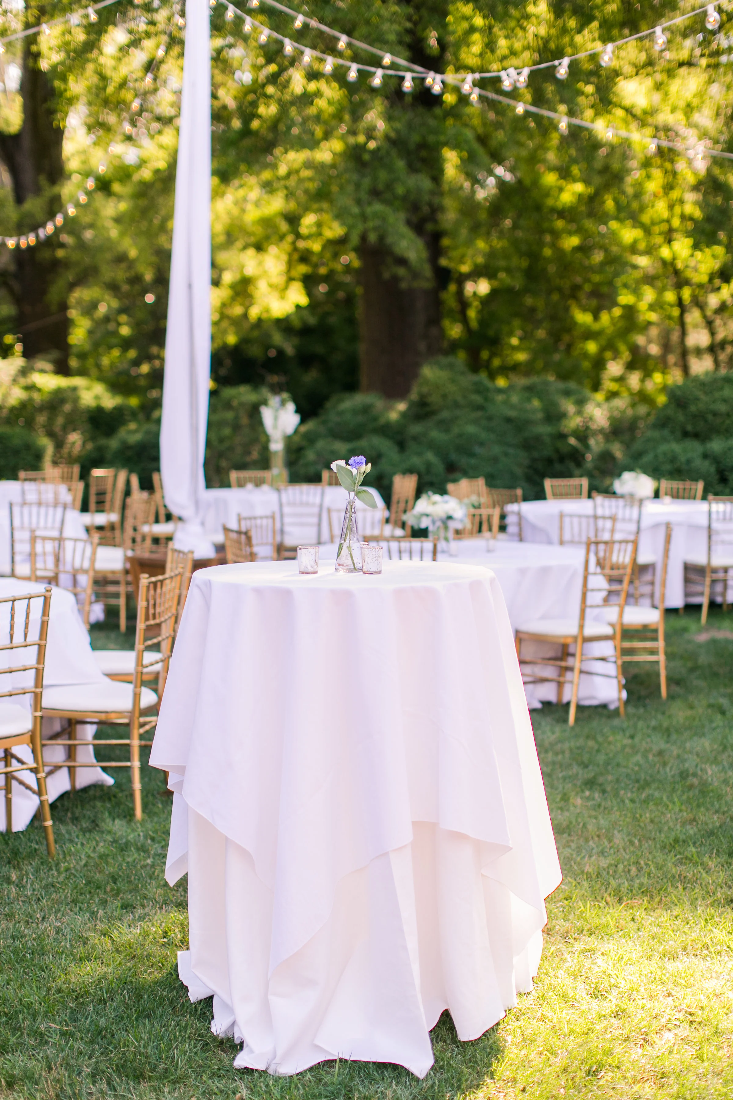 bukovac-wedding-690.jpg