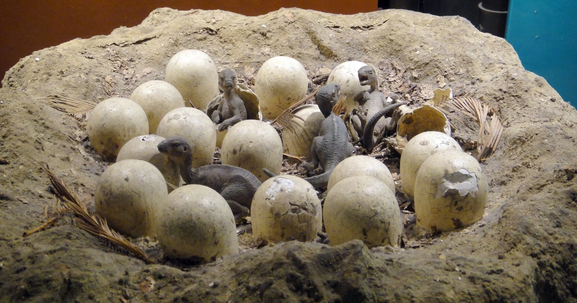 eggs-688789_1920.jpg